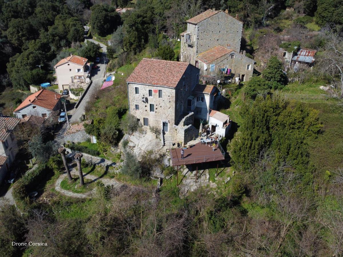 Casa Giacometti Grosseto-Prugna Eksteriør billede