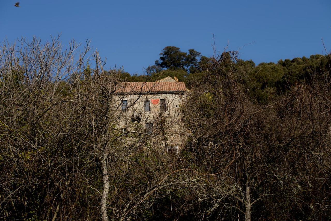 Casa Giacometti Grosseto-Prugna Eksteriør billede
