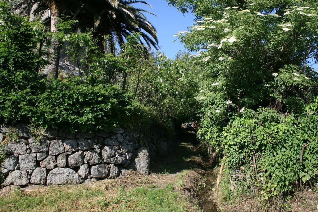 Casa Giacometti Grosseto-Prugna Værelse billede